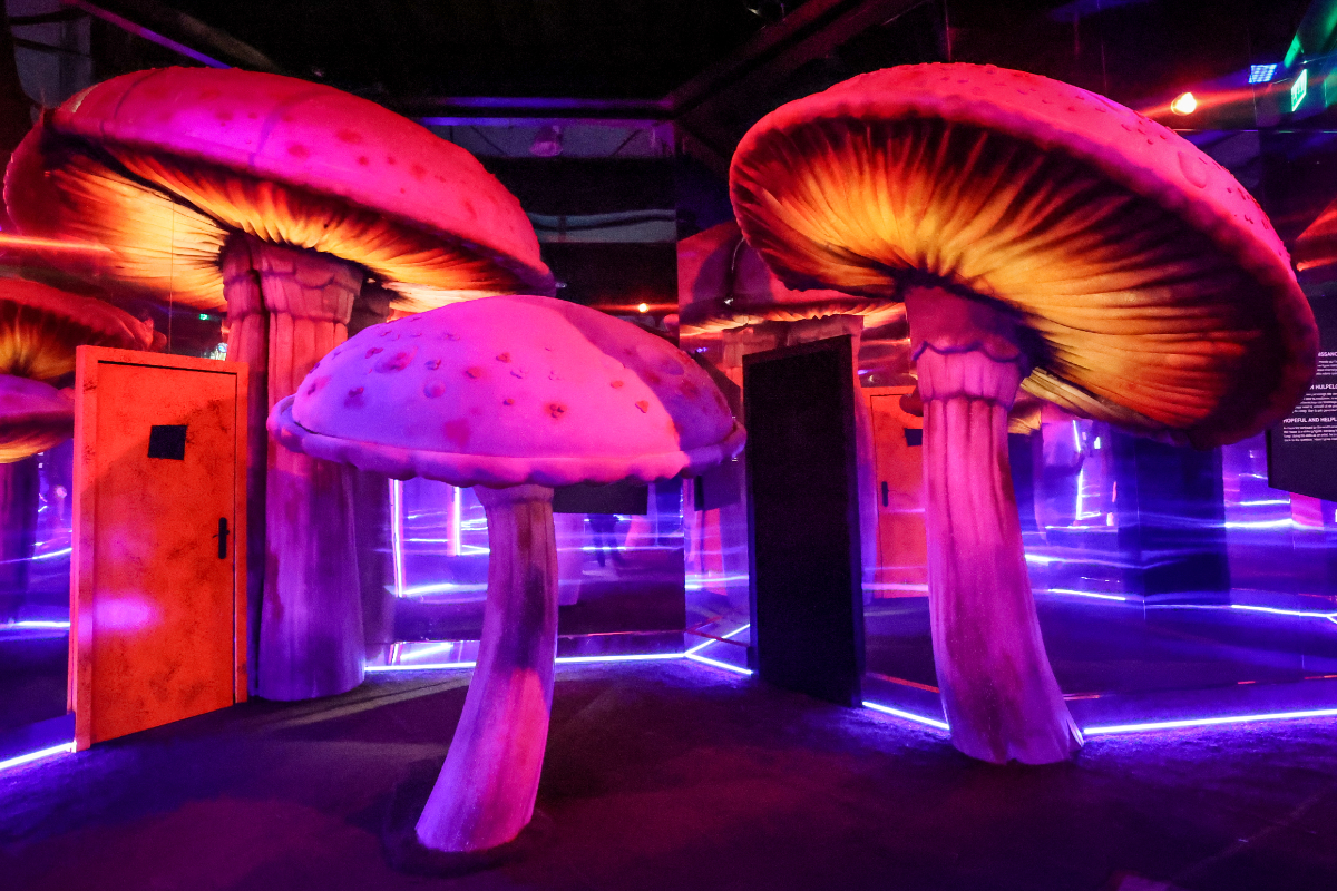 Tim Burton's Labyrinth Expo Brussel, picture 25, photographed by Kitty van de Waart - FrontView Magazine