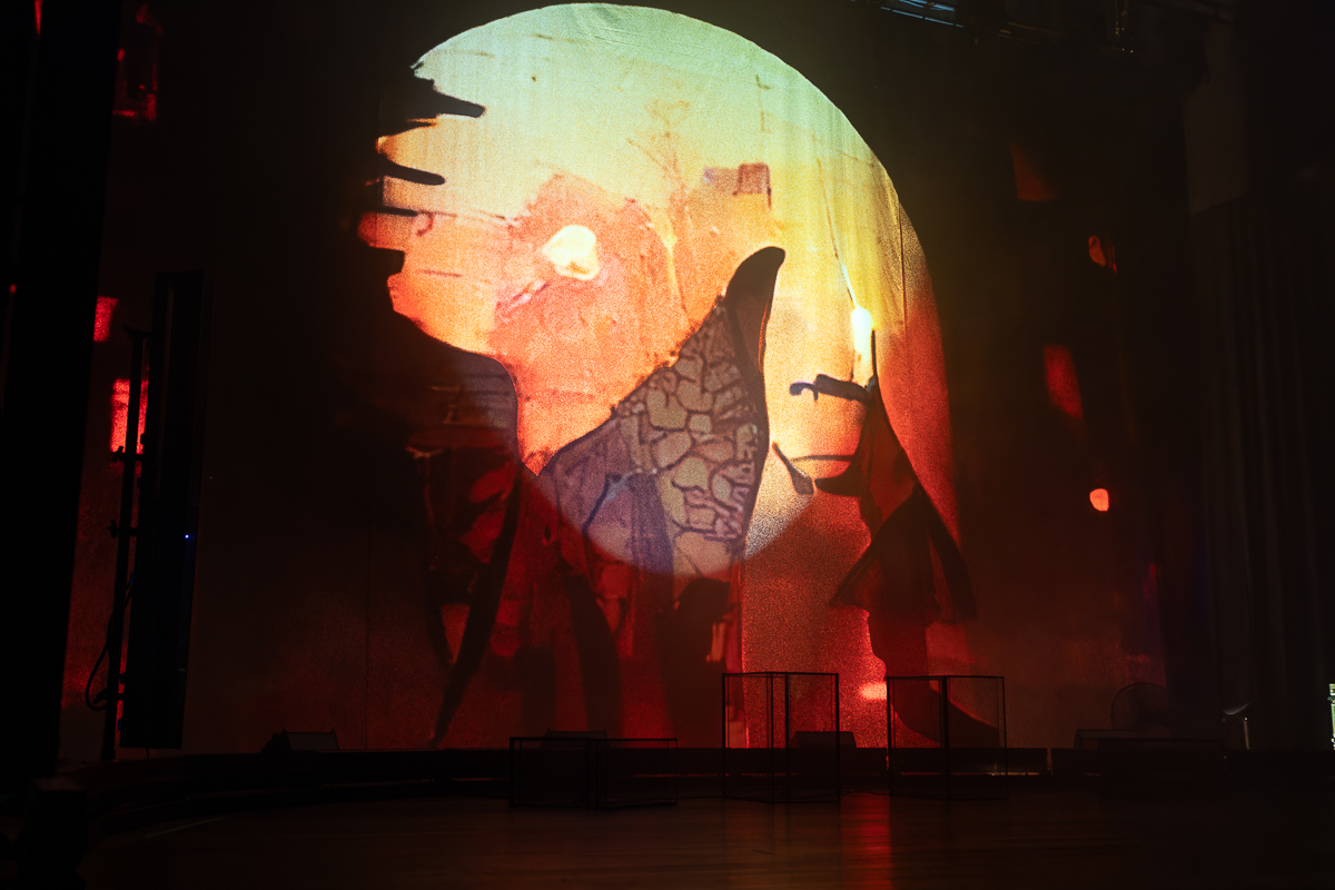 Rodrigo y Gabriela @ De Roma, picture 1, photographed by David Johnson - FrontView Magazine