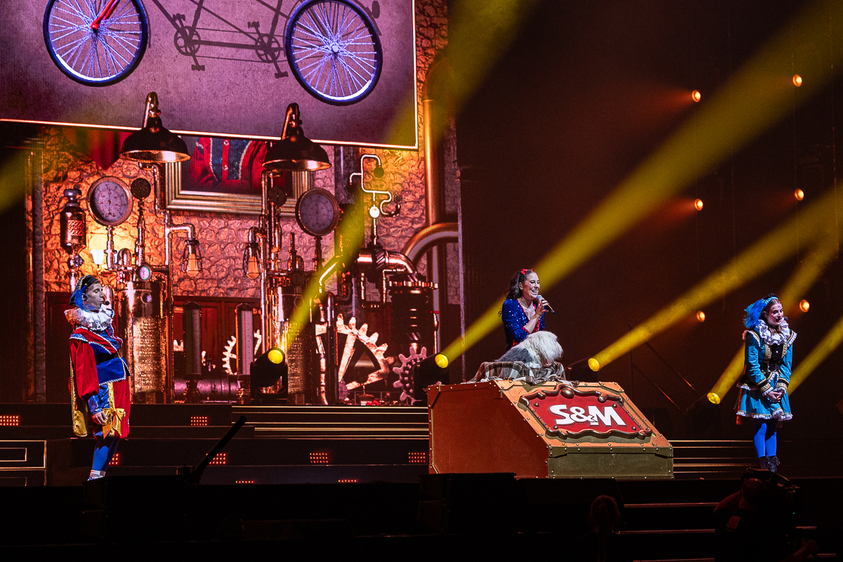 De Grote Sinterklaasshow @ Sportpaleis, foto 15, foto's door David Johnson - FrontView Magazine