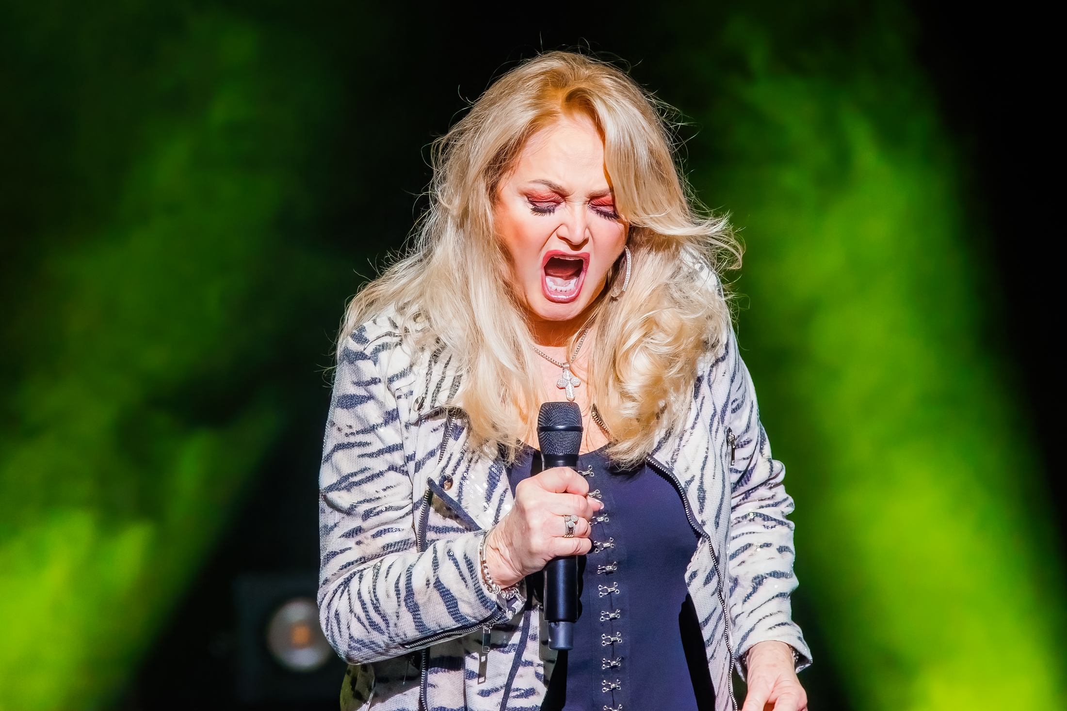 Bonnie Tyler Live in concert, picture 16, photographed by Paul Jongeneelen - FrontView Magazine