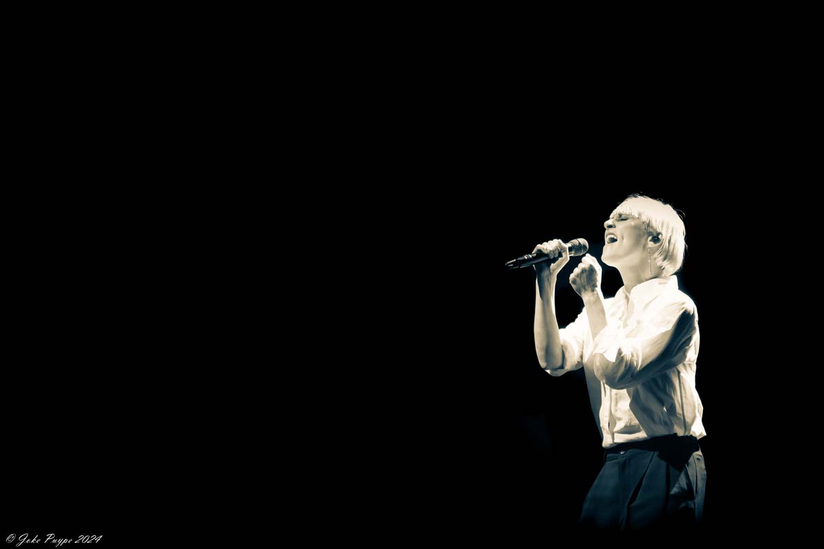 Hooverphonic: 20th Anniversary Tour @ De Warande, picture 7, photographed by FrontView Magazine