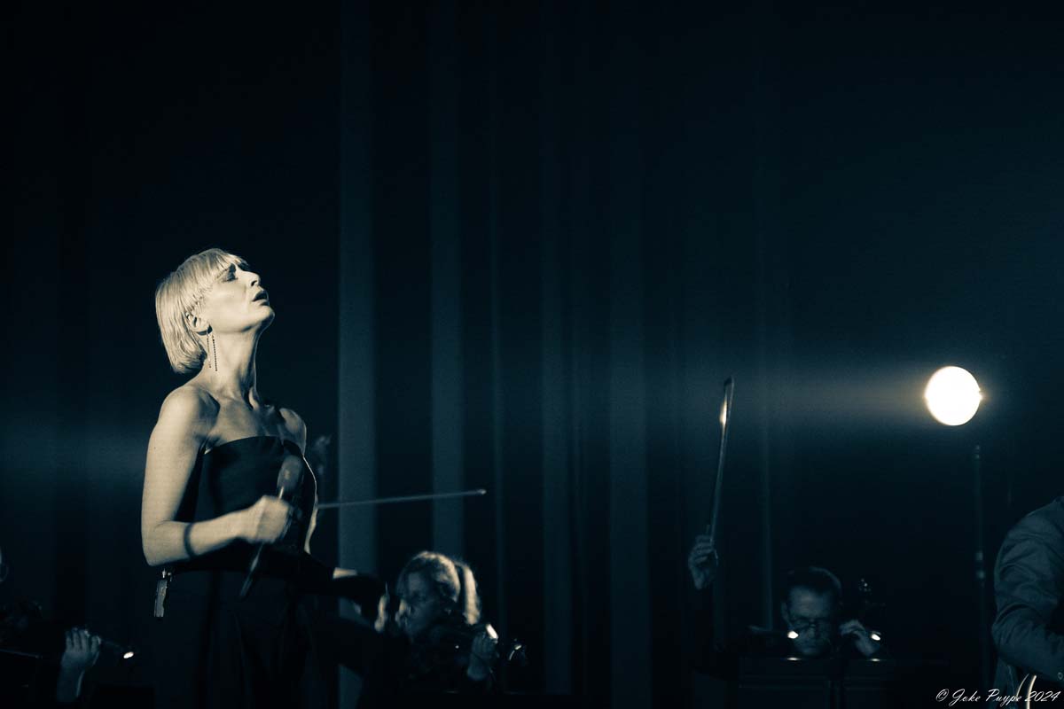 Hooverphonic: 20th Anniversary Tour @ De Warande, picture 14, photographed by FrontView Magazine