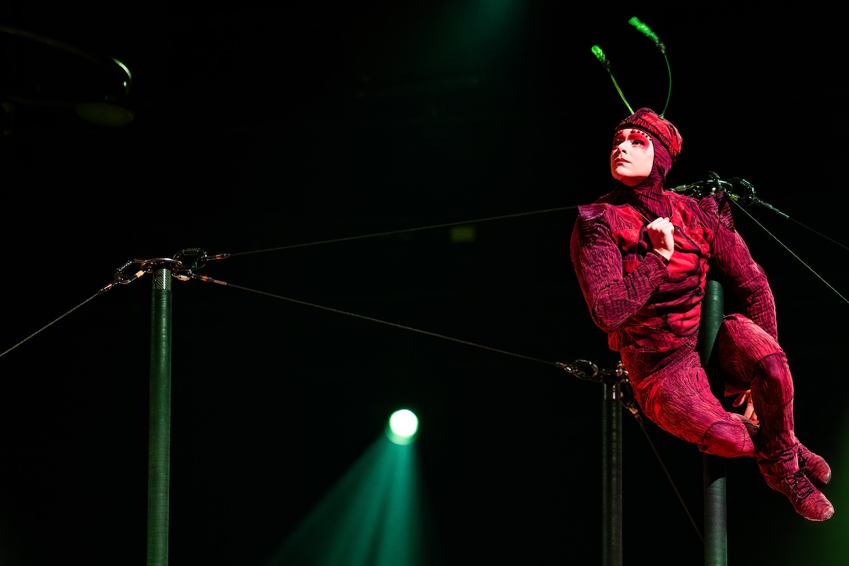 Cirque du Soleil - OVO @ Lotto Arena, picture 2, photographed by Dorien Goetschalckx - FrontView Magazine