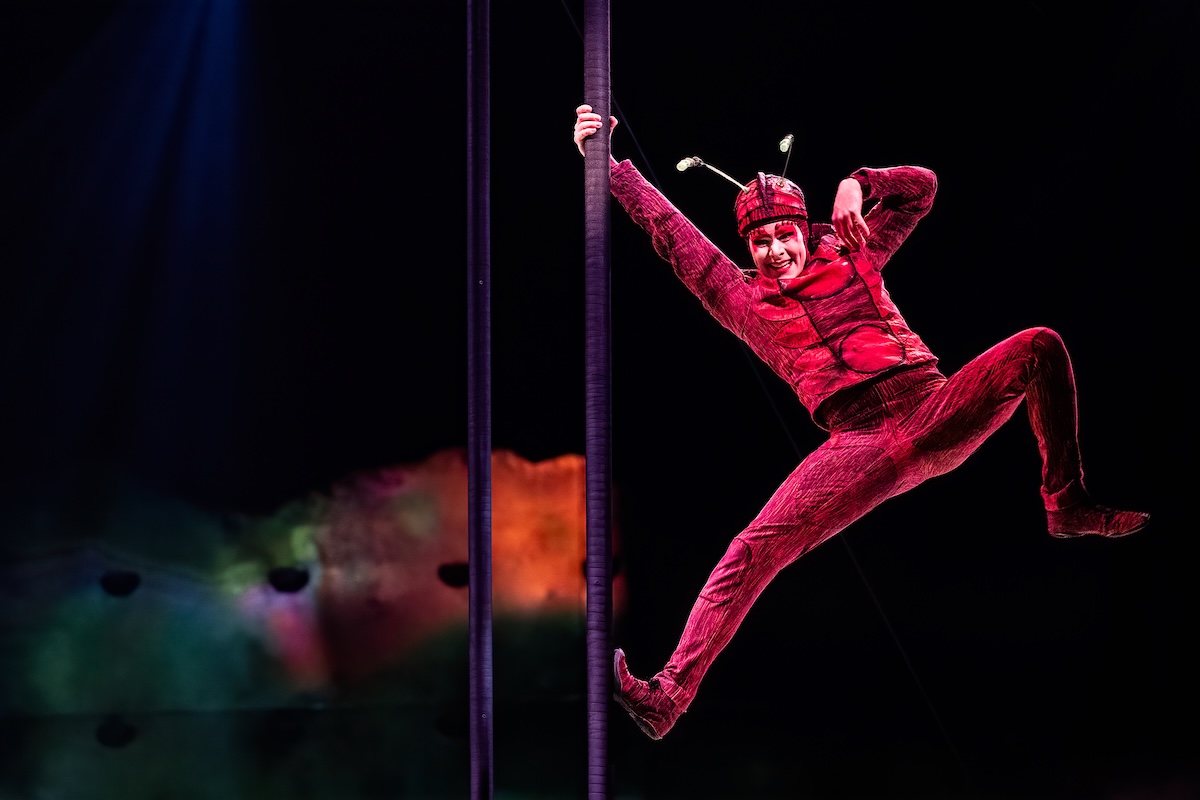 Cirque du Soleil - OVO @ Lotto Arena, picture 4, photographed by Dorien Goetschalckx - FrontView Magazine