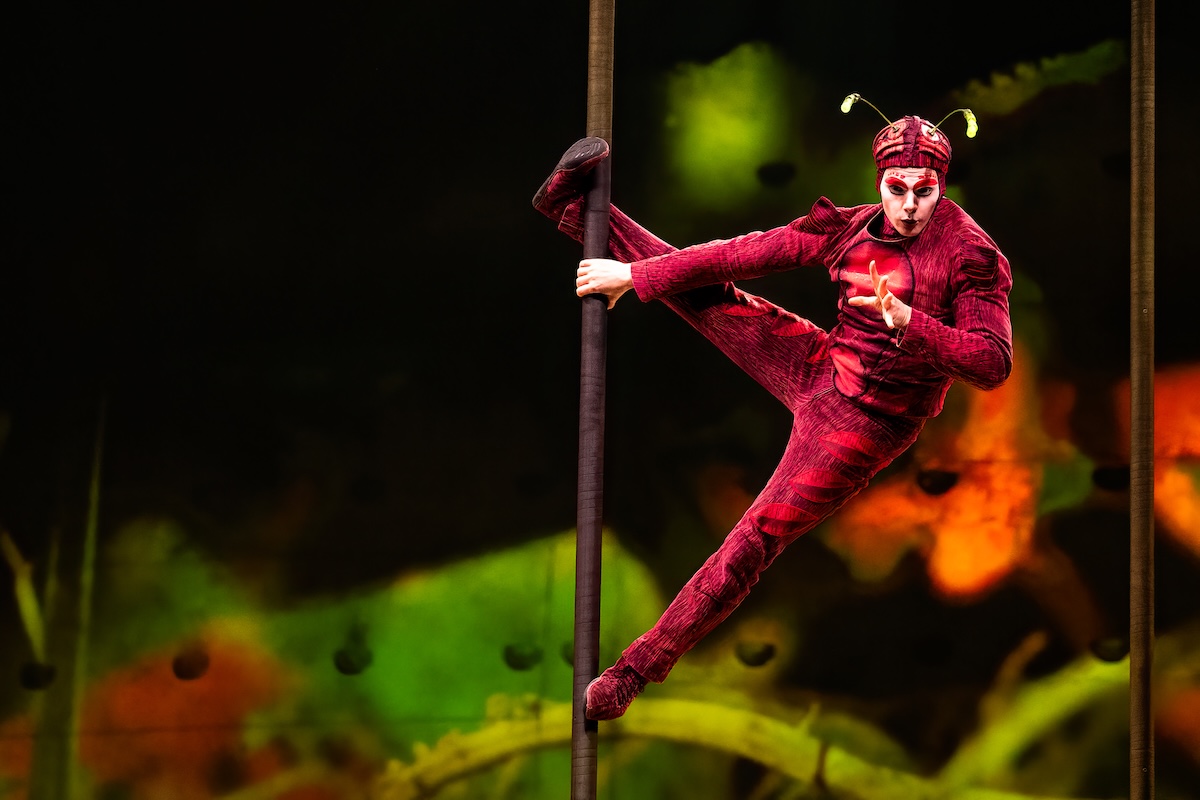 Cirque du Soleil - OVO @ Lotto Arena, picture 6, photographed by Dorien Goetschalckx - FrontView Magazine