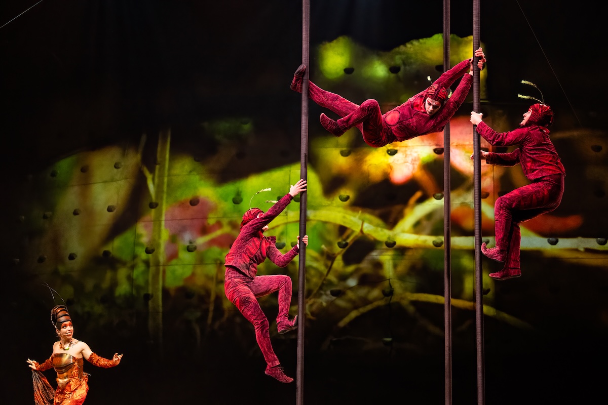 Cirque du Soleil - OVO @ Lotto Arena, picture 7, photographed by Dorien Goetschalckx - FrontView Magazine