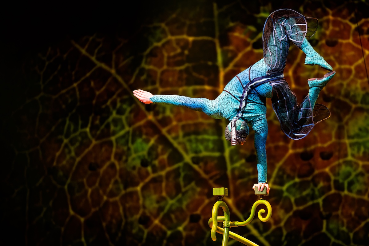 Cirque du Soleil - OVO @ Lotto Arena, picture 9, photographed by Dorien Goetschalckx - FrontView Magazine