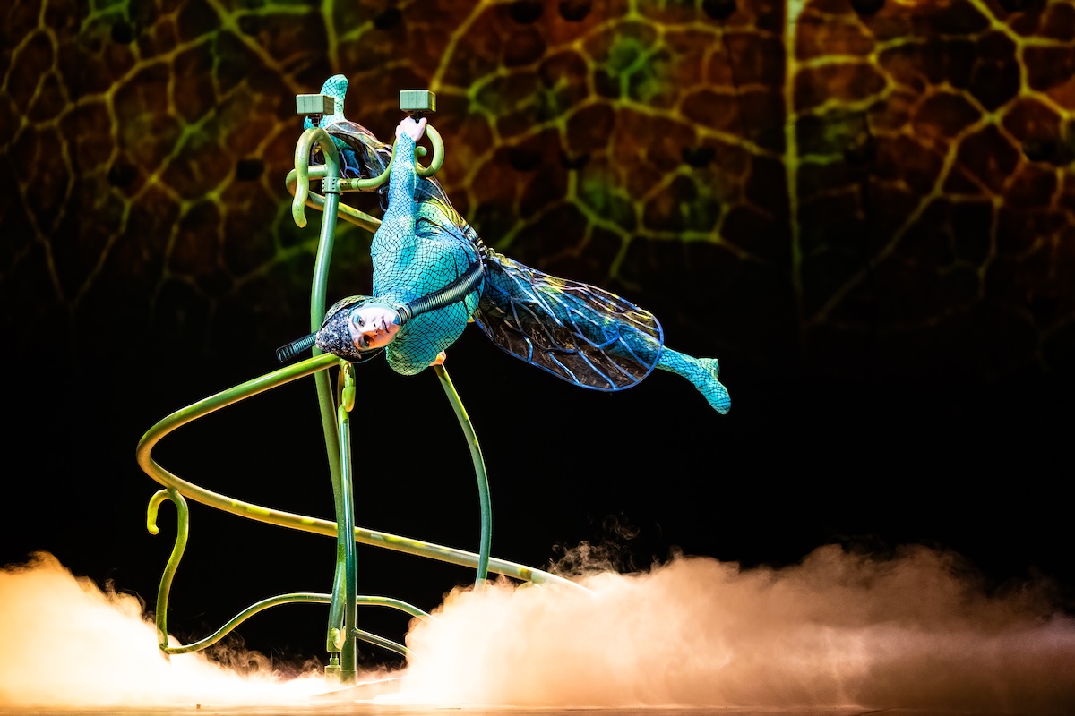 Cirque du Soleil - OVO @ Lotto Arena, picture 10, photographed by Dorien Goetschalckx - FrontView Magazine