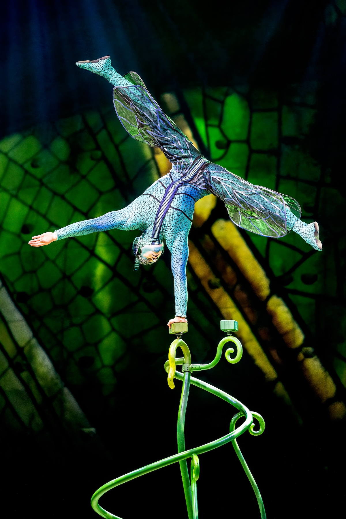 Cirque du Soleil - OVO @ Lotto Arena, picture 14, photographed by Dorien Goetschalckx - FrontView Magazine