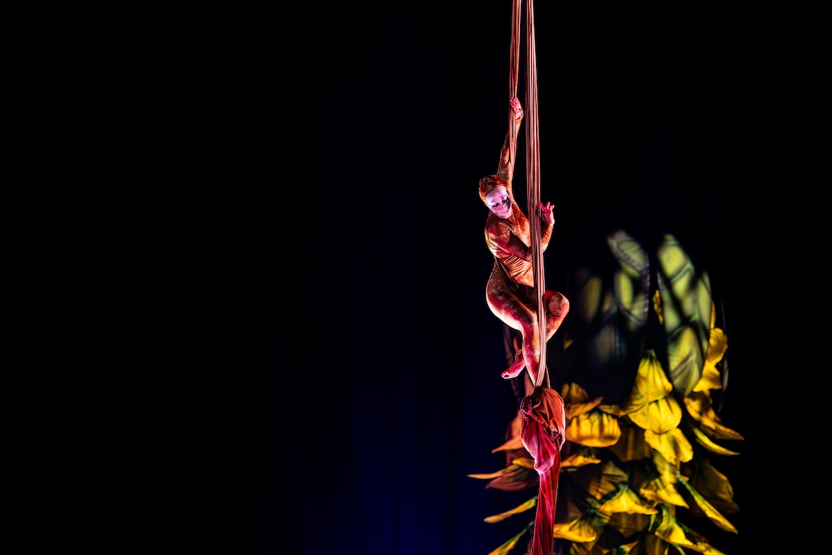 Cirque du Soleil - OVO @ Lotto Arena, picture 20, photographed by Dorien Goetschalckx - FrontView Magazine