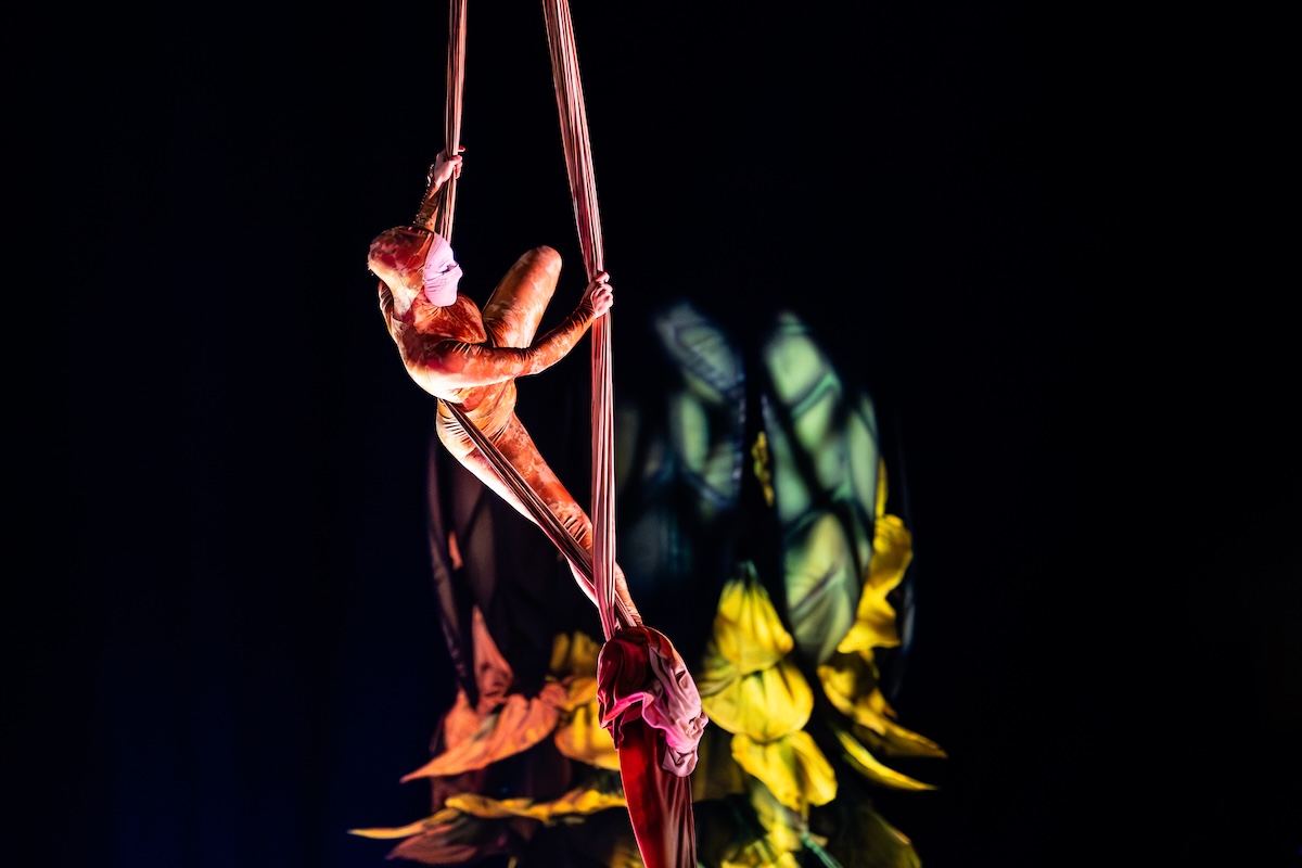 Cirque du Soleil - OVO @ Lotto Arena, picture 21, photographed by Dorien Goetschalckx - FrontView Magazine