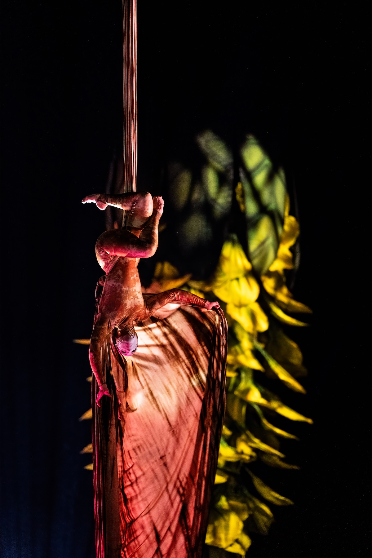 Cirque du Soleil - OVO @ Lotto Arena, picture 22, photographed by Dorien Goetschalckx - FrontView Magazine