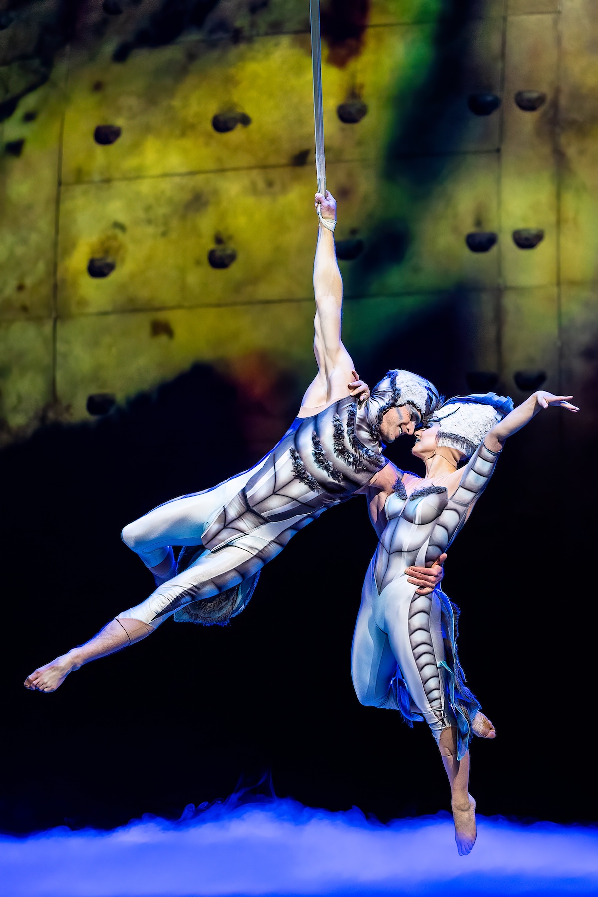 Cirque du Soleil - OVO @ Lotto Arena, picture 24, photographed by Dorien Goetschalckx - FrontView Magazine