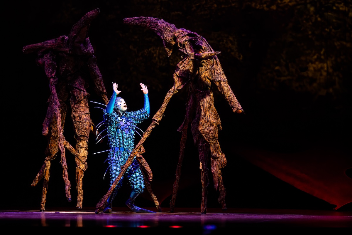 Cirque du Soleil - OVO @ Lotto Arena, picture 30, photographed by Dorien Goetschalckx - FrontView Magazine