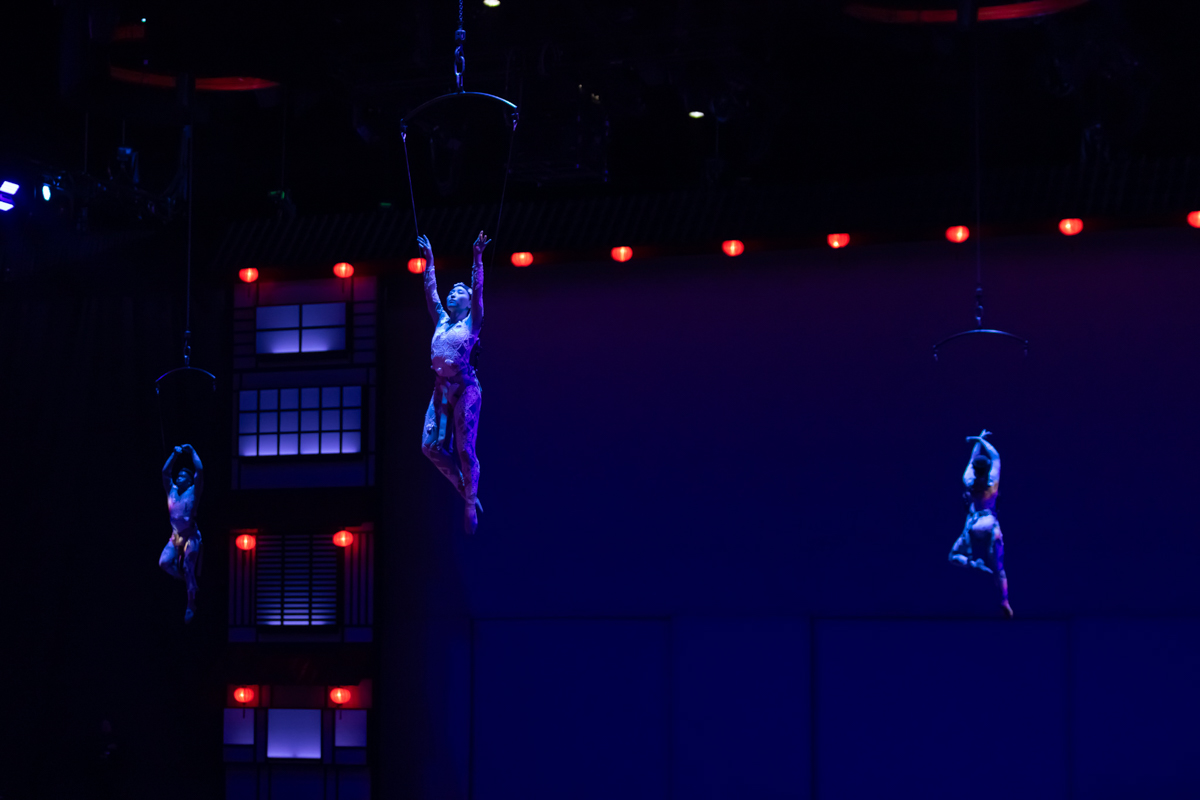 Cavalluna Land Of A Thousand Dreams show @ Sportpaleis, foto 18, foto's door dirk janssens - FrontView Magazine