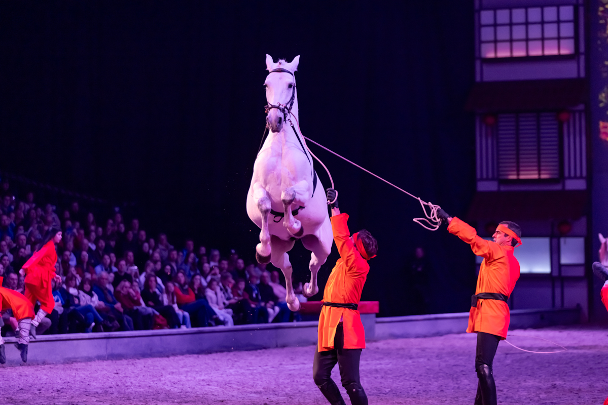 Cavalluna Land Of A Thousand Dreams show @ Sportpaleis, foto 31, foto's door dirk janssens - FrontView Magazine
