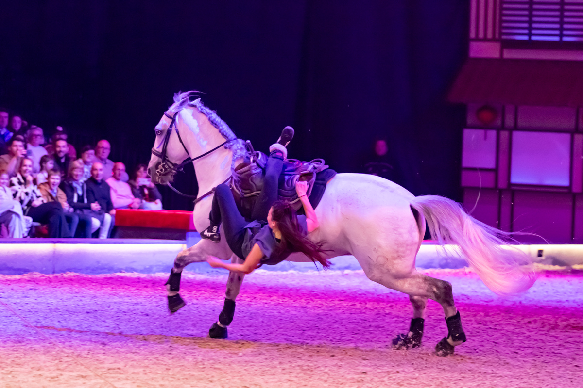 Cavalluna Land Of A Thousand Dreams show @ Sportpaleis, foto 35, foto's door dirk janssens - FrontView Magazine