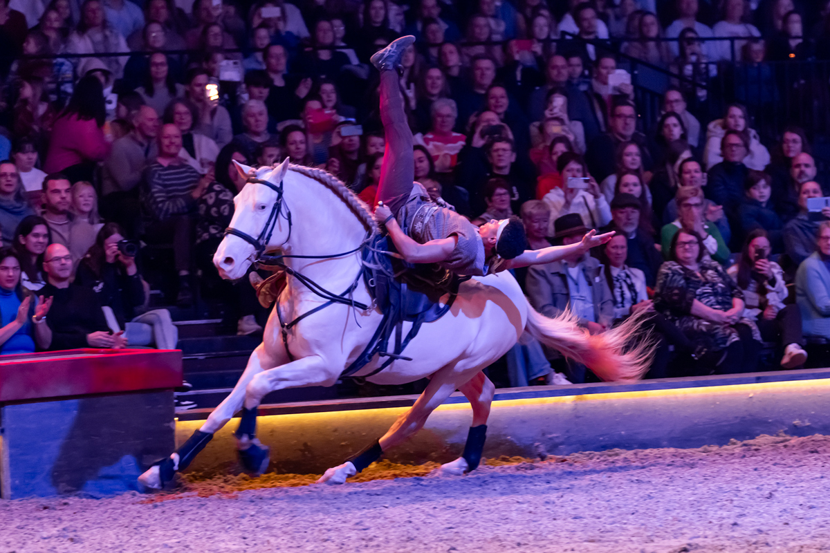 Cavalluna Land Of A Thousand Dreams show @ Sportpaleis, foto 38, foto's door dirk janssens - FrontView Magazine