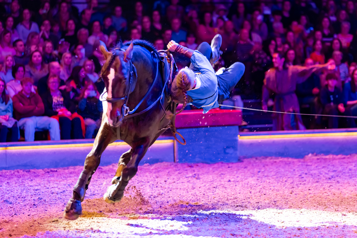 Cavalluna Land Of A Thousand Dreams show @ Sportpaleis, foto 39, foto's door dirk janssens - FrontView Magazine