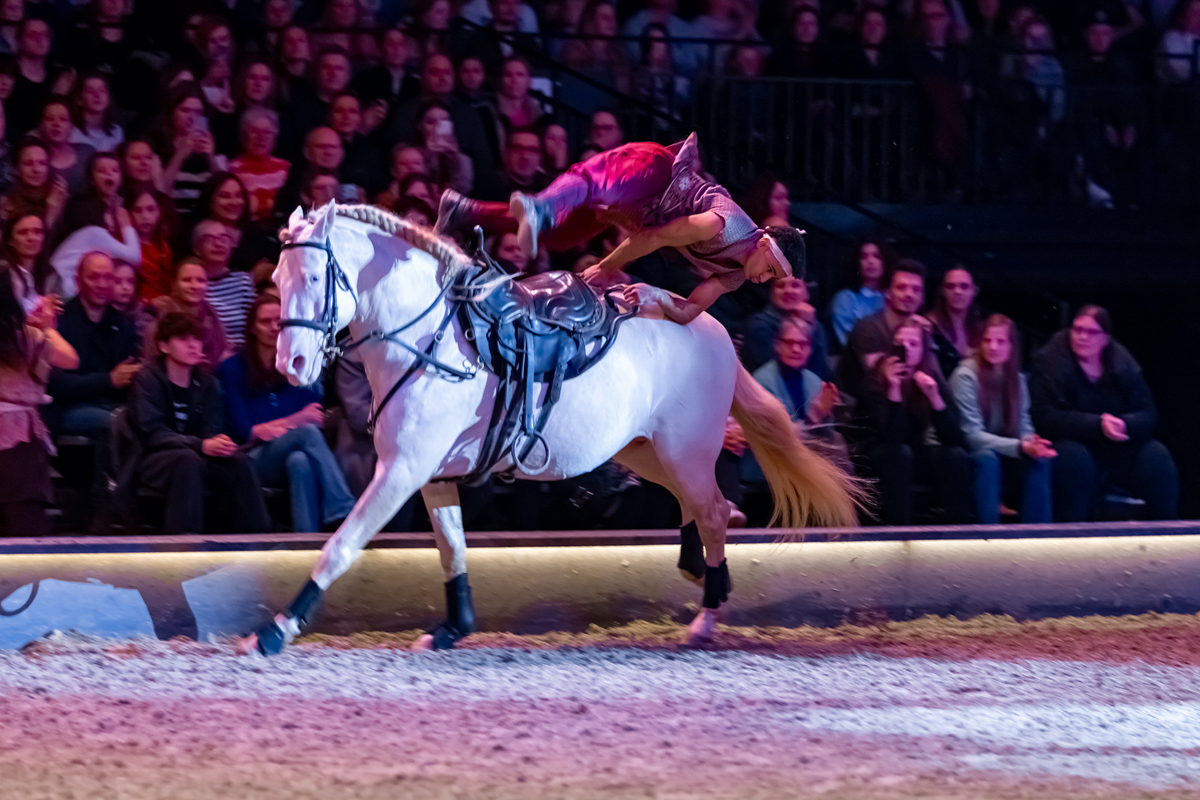 Cavalluna Land Of A Thousand Dreams show @ Sportpaleis, foto 42, foto's door dirk janssens - FrontView Magazine