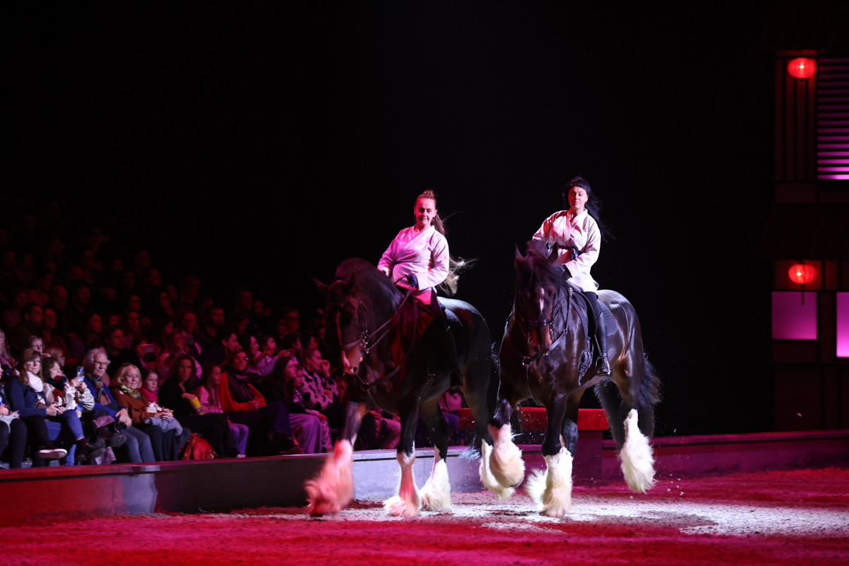 Cavalluna Land Of A Thousand Dreams show @ Sportpaleis, foto 46, foto's door dirk janssens - FrontView Magazine