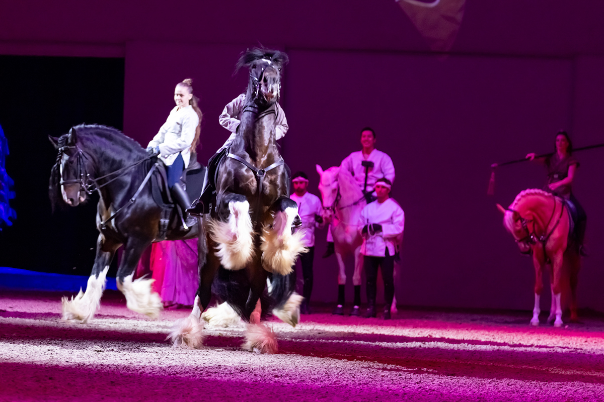 Cavalluna Land Of A Thousand Dreams show @ Sportpaleis, foto 47, foto's door dirk janssens - FrontView Magazine
