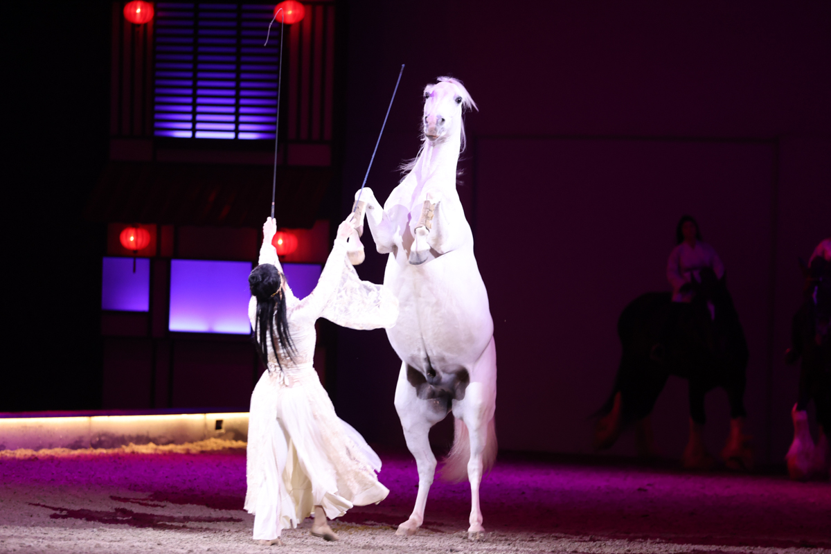 Cavalluna Land Of A Thousand Dreams show @ Sportpaleis, foto 48, foto's door dirk janssens - FrontView Magazine