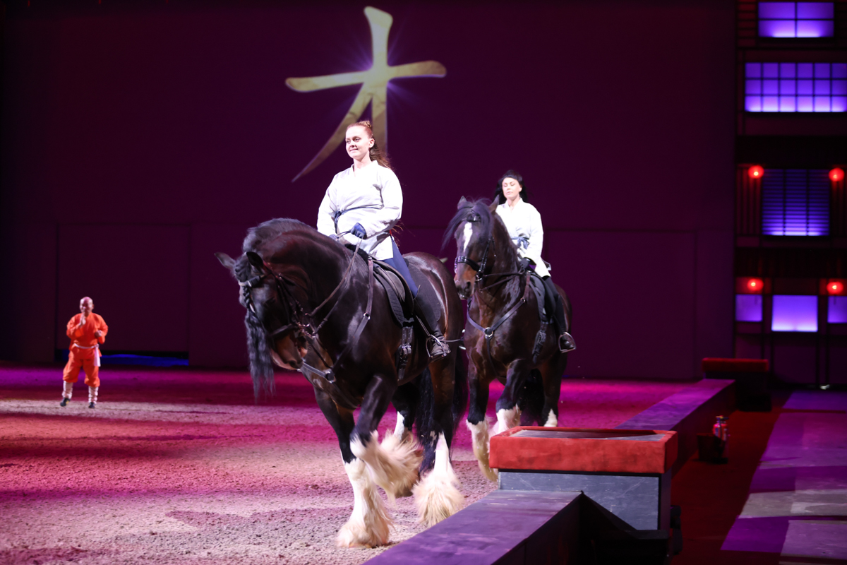 Cavalluna Land Of A Thousand Dreams show @ Sportpaleis, foto 49, foto's door dirk janssens - FrontView Magazine