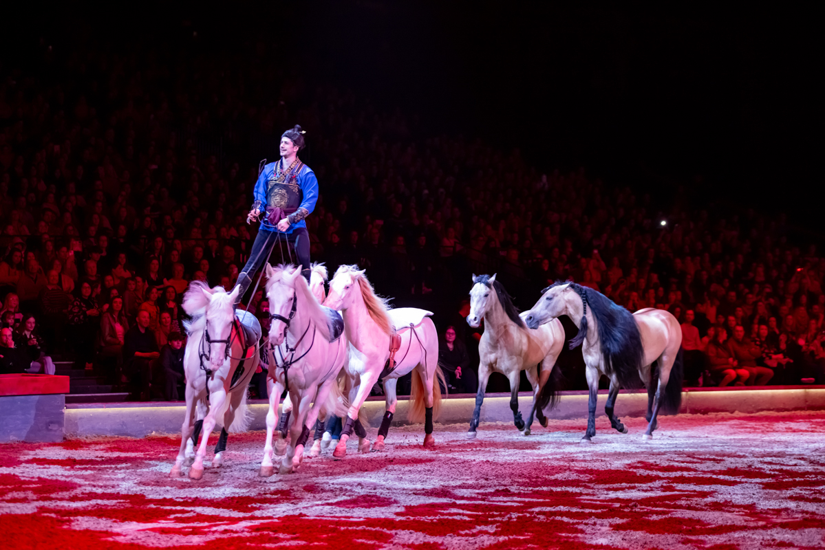 Cavalluna Land Of A Thousand Dreams show @ Sportpaleis, foto 51, foto's door dirk janssens - FrontView Magazine