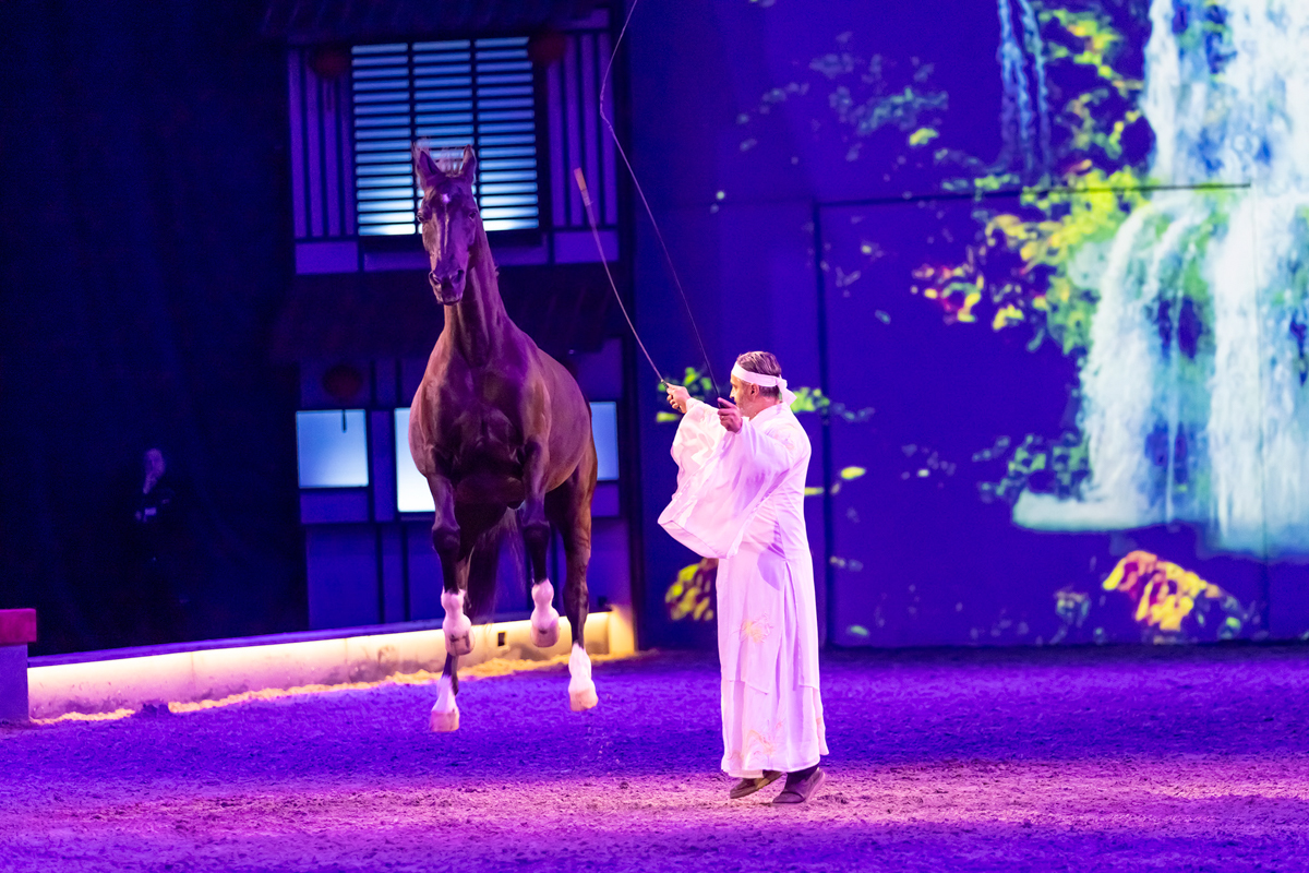 Cavalluna Land Of A Thousand Dreams show @ Sportpaleis, foto 61, foto's door dirk janssens - FrontView Magazine