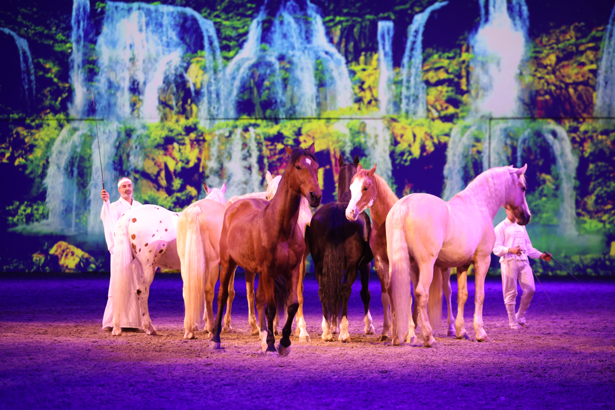 Cavalluna Land Of A Thousand Dreams show @ Sportpaleis, foto 63, foto's door dirk janssens - FrontView Magazine