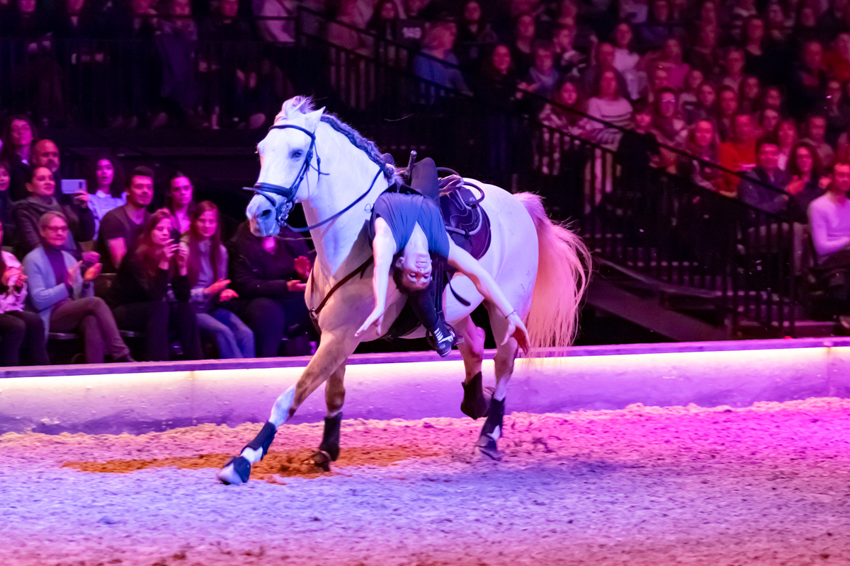 Cavalluna Land Of A Thousand Dreams show @ Sportpaleis, foto 67, foto's door dirk janssens - FrontView Magazine