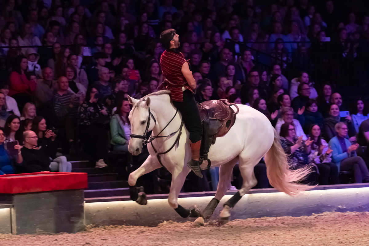 Cavalluna Land Of A Thousand Dreams show @ Sportpaleis, foto 68, foto's door dirk janssens - FrontView Magazine