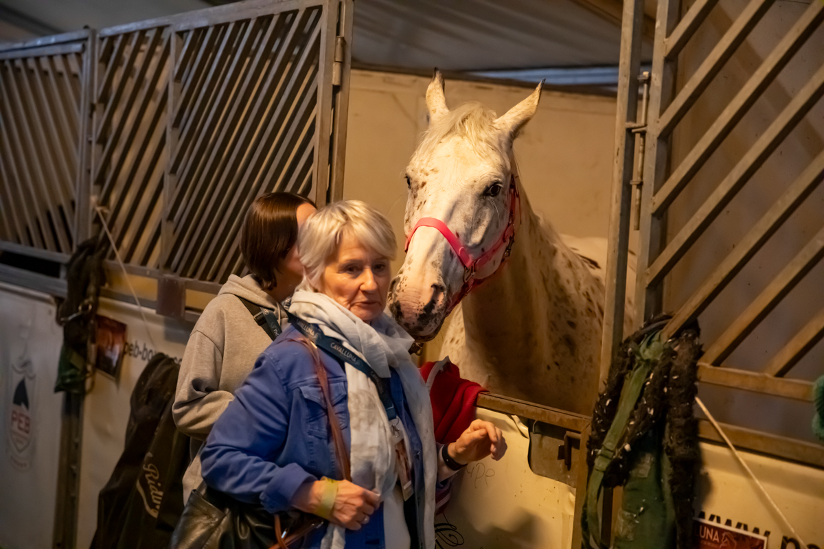 Cavalluna "Land Of A Thousand Dreams" stables tour @ Sportpaleis, foto 2, foto's door dirk janssens - FrontView Magazine