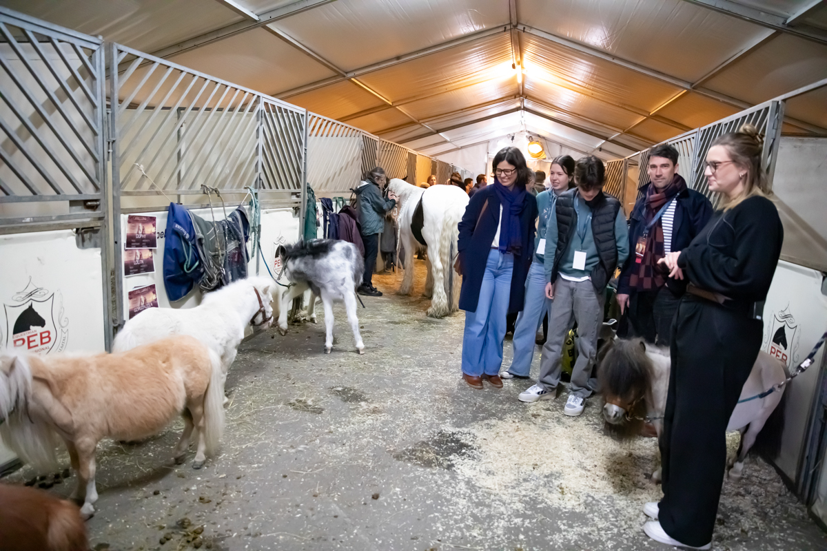 Cavalluna "Land Of A Thousand Dreams" stables tour @ Sportpaleis, foto 3, foto's door dirk janssens - FrontView Magazine