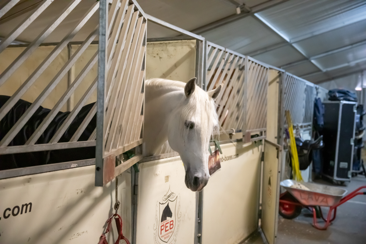 Cavalluna "Land Of A Thousand Dreams" stables tour @ Sportpaleis, foto 4, foto's door dirk janssens - FrontView Magazine
