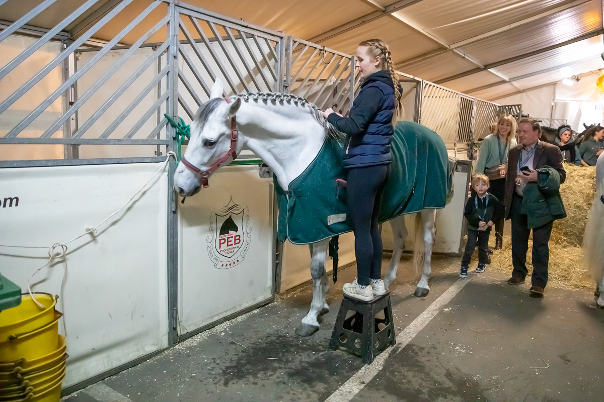 Cavalluna "Land Of A Thousand Dreams" stables tour @ Sportpaleis, foto 13, foto's door dirk janssens - FrontView Magazine