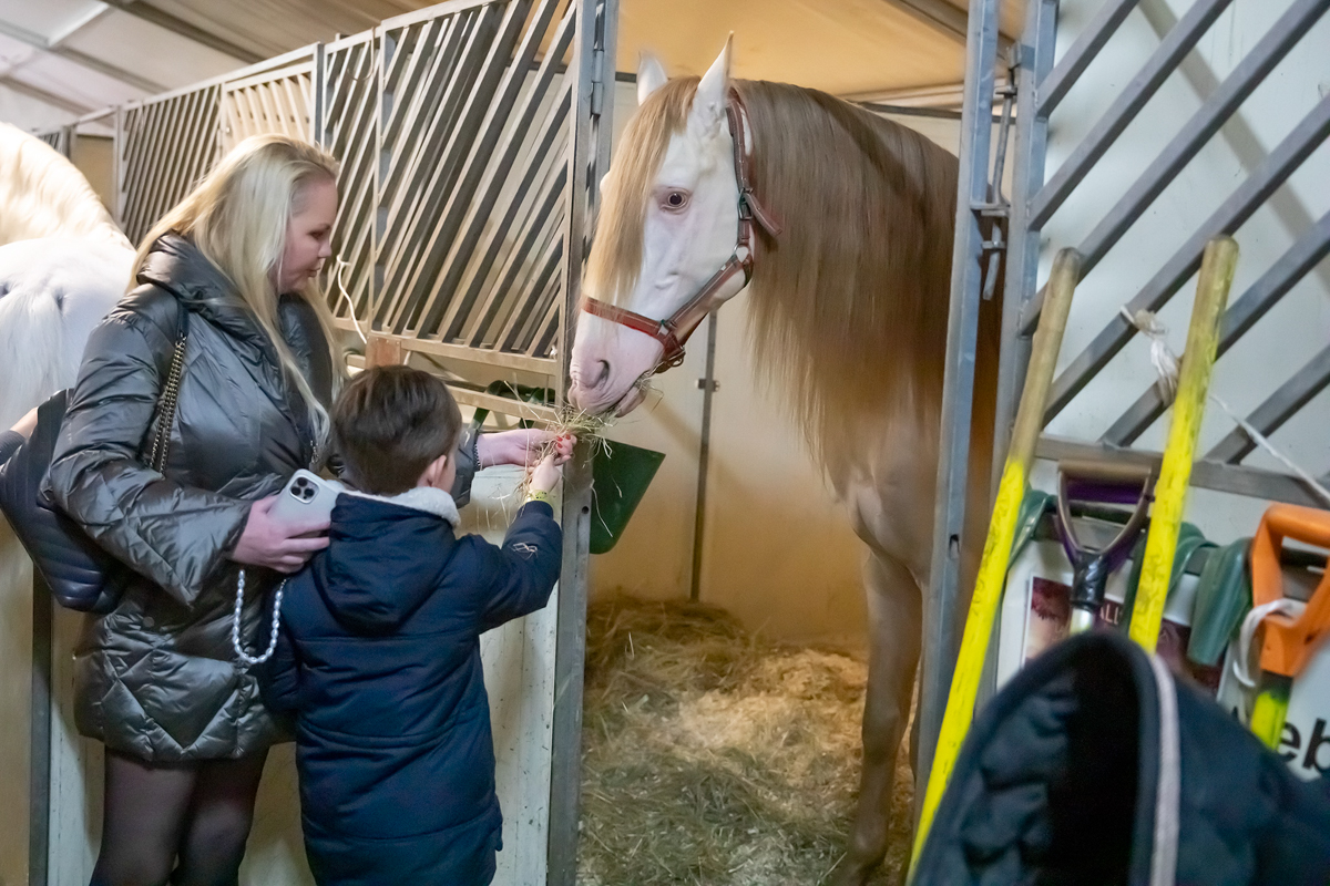 Cavalluna "Land Of A Thousand Dreams" stables tour @ Sportpaleis, foto 14, foto's door dirk janssens - FrontView Magazine