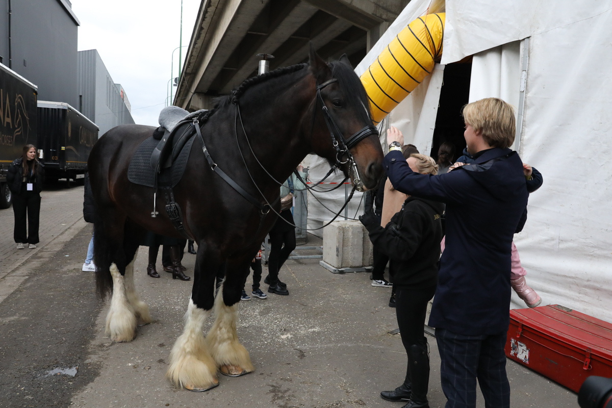 Cavalluna "Land Of A Thousand Dreams" stables tour @ Sportpaleis, foto 16, foto's door dirk janssens - FrontView Magazine