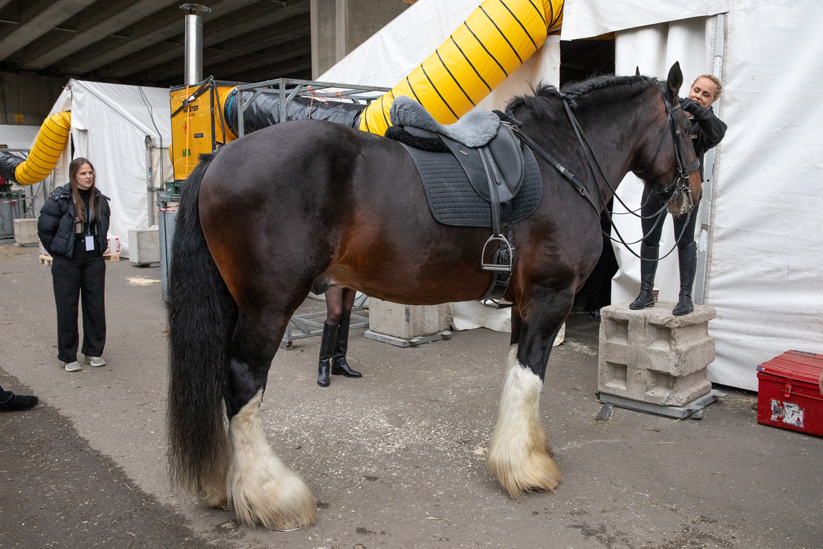 Cavalluna "Land Of A Thousand Dreams" stables tour @ Sportpaleis, foto 17, foto's door dirk janssens - FrontView Magazine