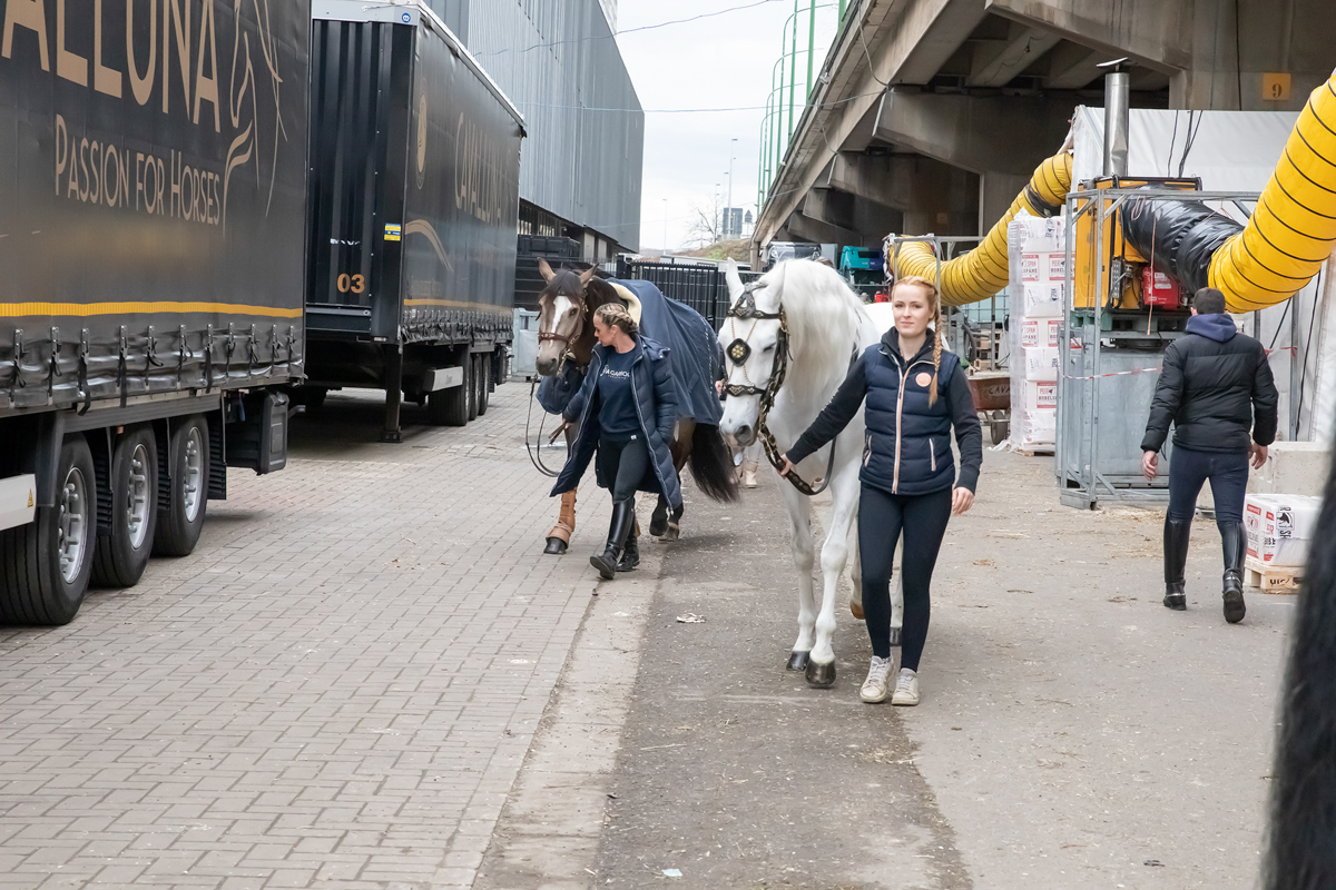 Cavalluna "Land Of A Thousand Dreams" stables tour @ Sportpaleis, foto 18, foto's door dirk janssens - FrontView Magazine