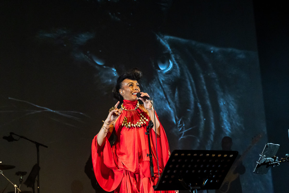 Zap Mama @ De Roma, picture 3, photographed by Marc Verdonck - FrontView Magazine
