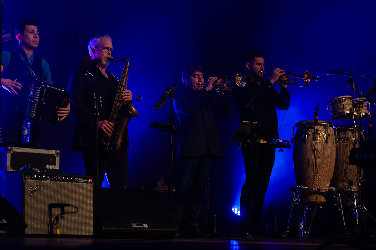 The Mavericks @ De Roma, picture 9, photographed by Jurgen Van De Maele - FrontView Magazine