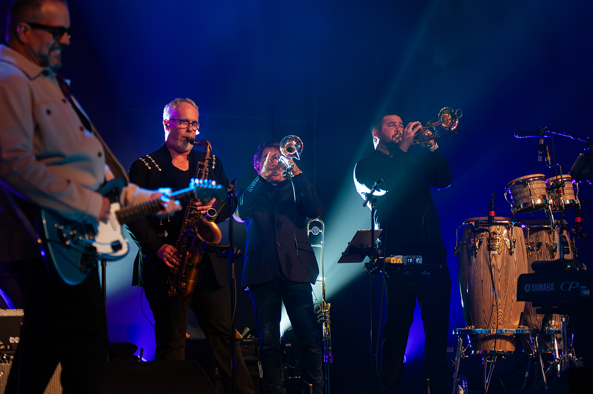 The Mavericks @ De Roma, picture 18, photographed by Jurgen Van De Maele - FrontView Magazine