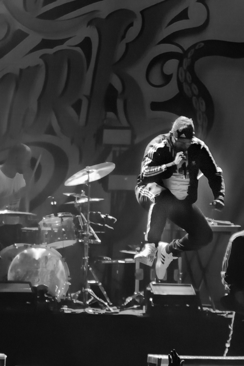 Bizkit Park @ Rock Affligem, picture 15, photographed by Luc Klinckaert - FrontView Magazine