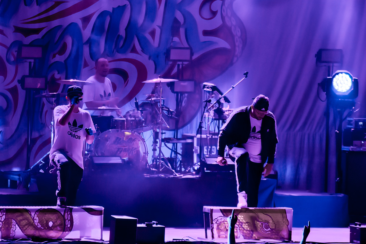 Bizkit Park @ Rock Affligem, picture 16, photographed by Luc Klinckaert - FrontView Magazine