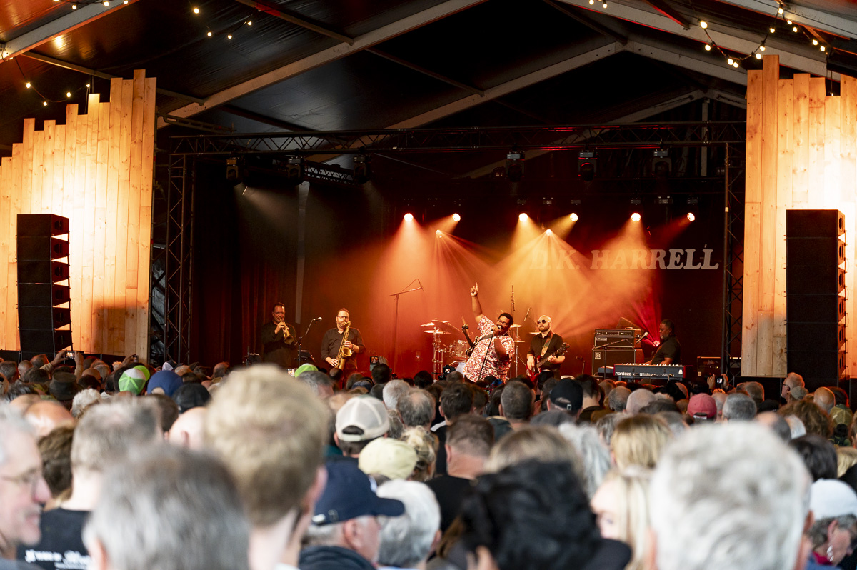 DK HARREL @ Blues Peer Dag 3, picture 9, photographed by Luc Klinckaert - FrontView Magazine