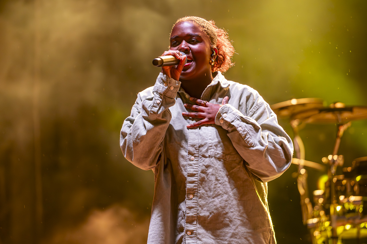 Regi @ Kanaalfeesten Willebroek, foto 26, foto's door Dimitri Vanlommel - FrontView Magazine