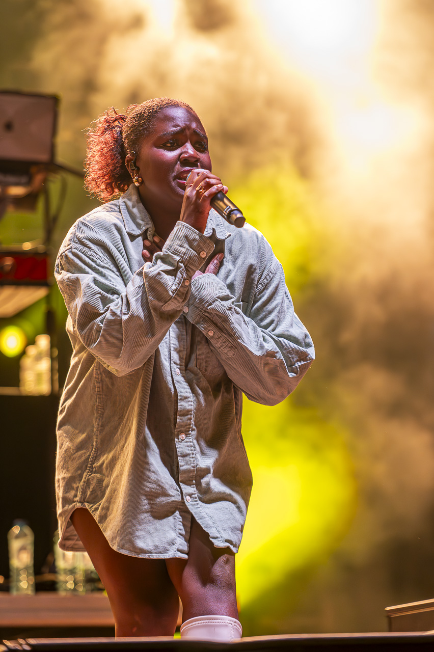 Regi @ Kanaalfeesten Willebroek, foto 27, foto's door Dimitri Vanlommel - FrontView Magazine