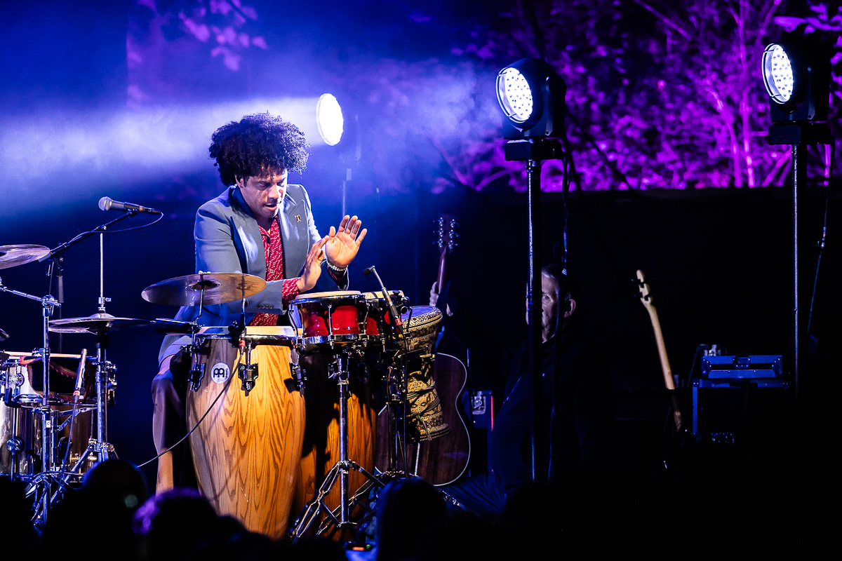 Bart Peeters @ OLT Rivierenhof, picture 33, photographed by Marc Verdonck - FrontView Magazine